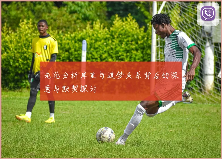 老范分析库里与追梦关系背后的深意与默契探讨