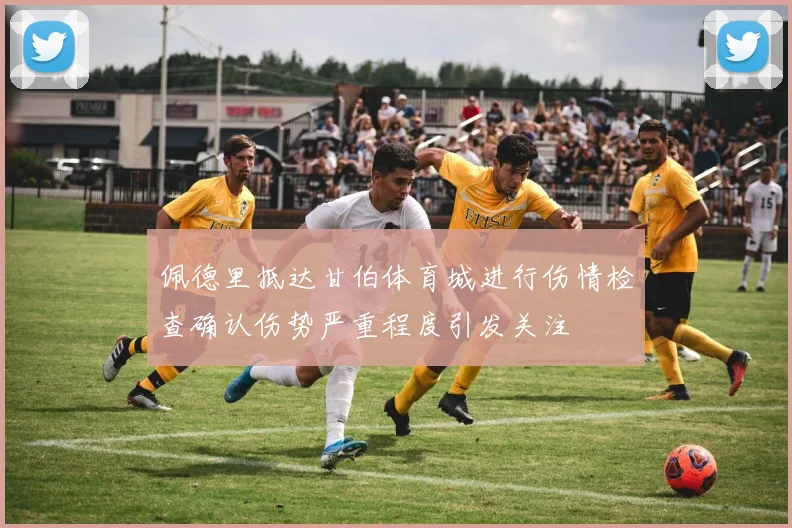 佩德里抵达甘伯体育城进行伤情检查确认伤势严重程度引发关注